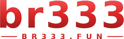 br333 logo